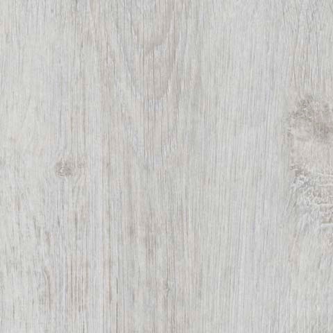 Arctic oak Splash