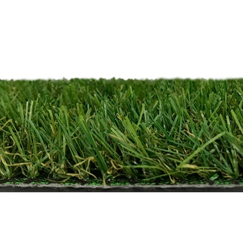 pasto Recreativo BERMUDA