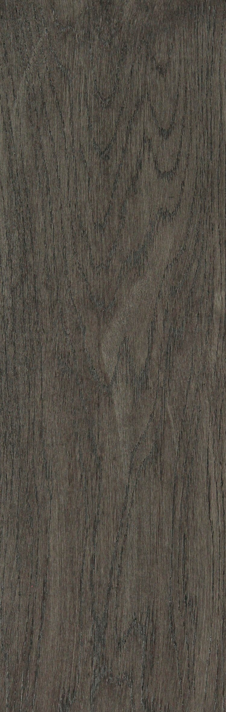 ANTHRACITE OAK